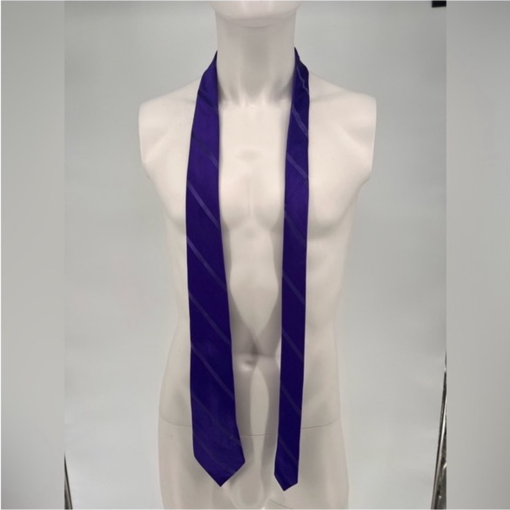 EUC Express Diagonal Striped Tie - Picture 4 of 7